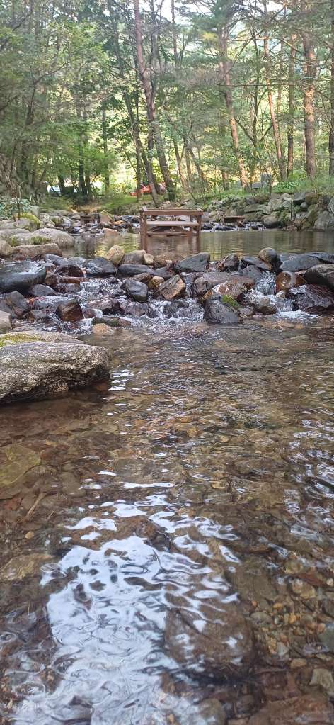 20251003_074831.jpg