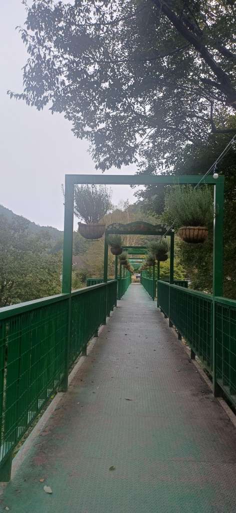 20251002_160422.jpg