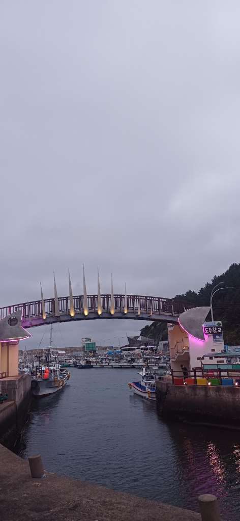 20260521_192911.jpg